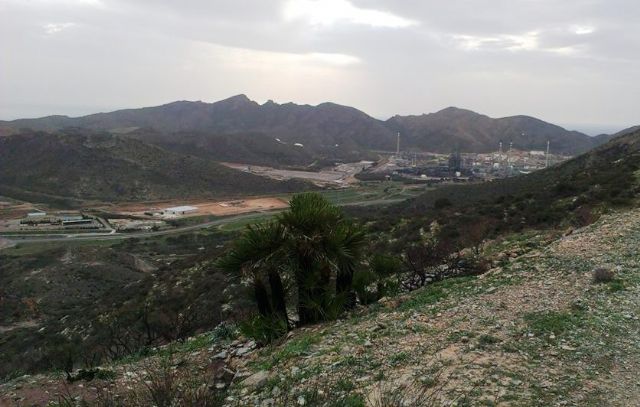 SPCT exige una reforestación del espacio natural del Barranco del Feo afectado por varios incendios - 2, Foto 2
