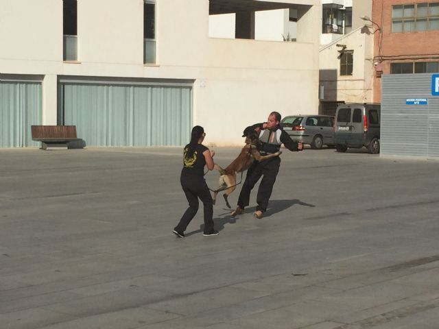 El Ayuntamiento de Torre-Pacheco celebra el día internacional para la eliminación de la violencia contra las mujeres - 5, Foto 5
