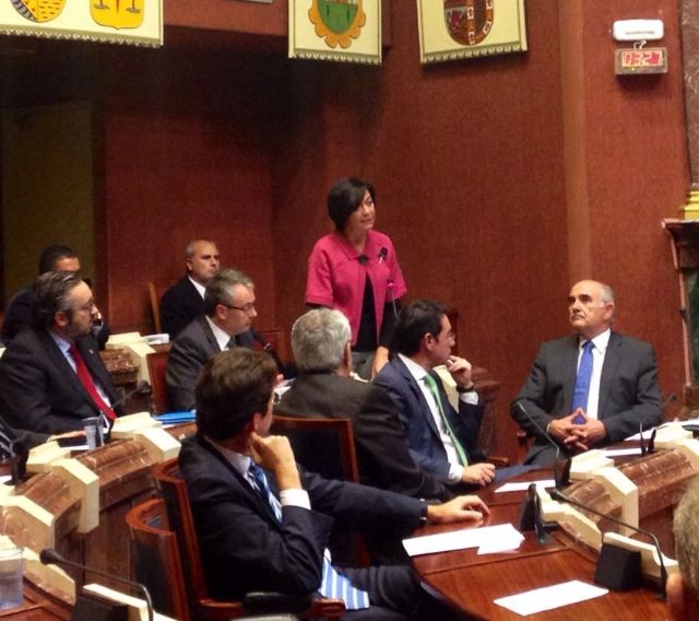 La oposición alienta la desafección ciudadana con demagogia y comportamiento infantil - 1, Foto 1