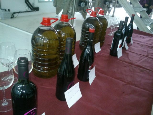 Medio centenar de personas visitan Bodegas Begastri dentro de las Rutas de Turismo de Naturaleza - 5, Foto 5