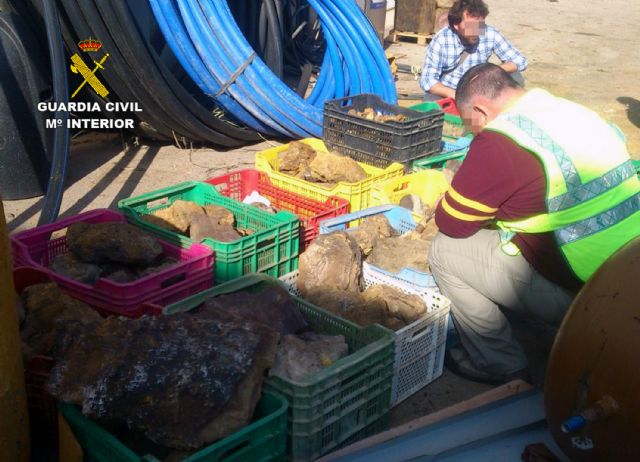 La Guardia Civil detiene a una decena de personas por la sustracción de materiales declarados como BIC - 4, Foto 4