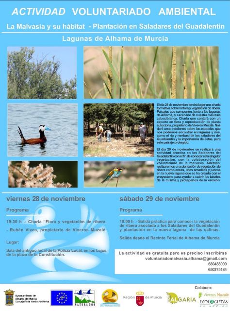 Medio Ambiente nos invita a conocer la flora de la ribera del Guadalentn, Foto 1