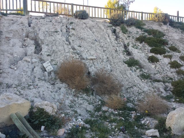 Presentan una Moción ante el total abandono en el que se encuentran los jardines del Parque junto a los Molinos y las Zonas Verdes en Urbanización Nueva Caravaca - 5, Foto 5