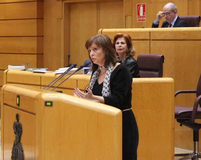 Mª José Nicolás: La nueva Ley de Metrología permitirá a los consumidores comprobar lo que compran - 1, Foto 1