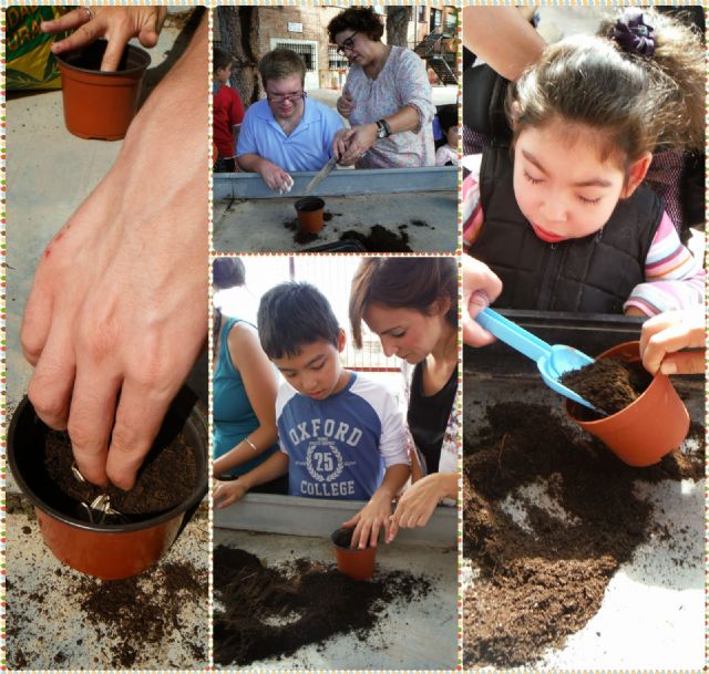 La comunidad educativa del Centro Público de Educación Especial Eusebio Martínez realizará diversas actividades dentro del Día Internacional de la Discapacidad - 4, Foto 4