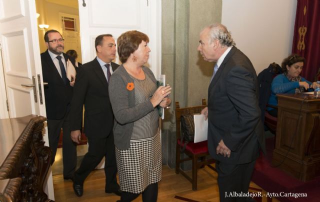 El pleno declara su apoyo a la diversidad cultural como medio de integración social - 1, Foto 1