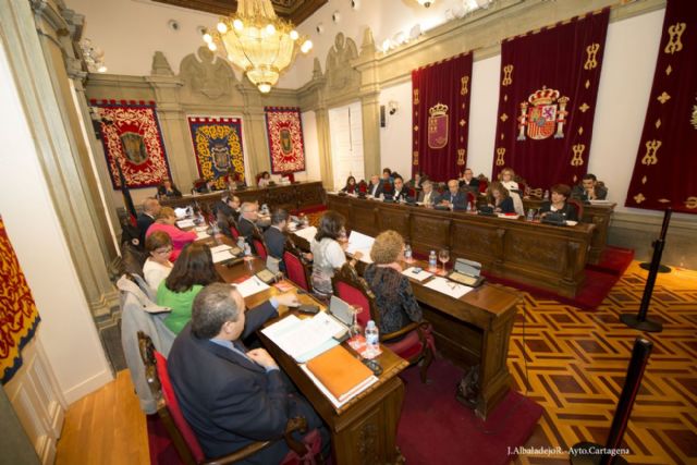 El pleno declara su apoyo a la diversidad cultural como medio de integración social - 3, Foto 3