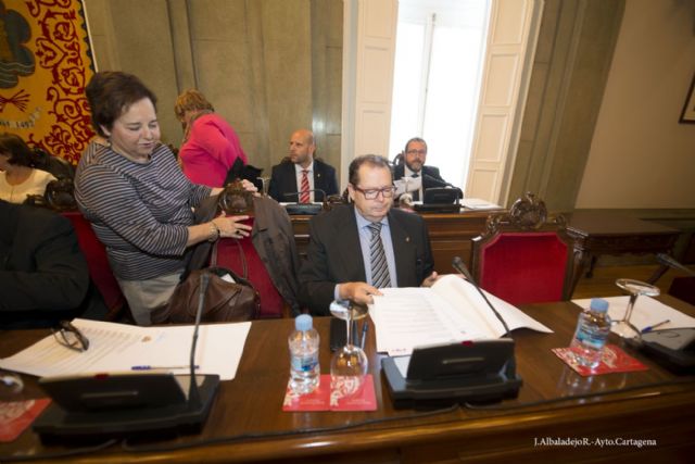 El pleno declara su apoyo a la diversidad cultural como medio de integración social - 4, Foto 4