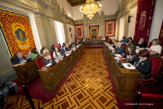 El pleno declara su apoyo a la diversidad cultural como medio de integración social - 5, Foto 5