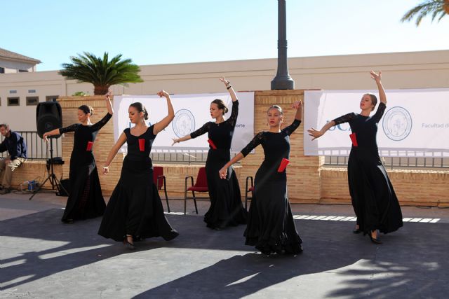Suárez Japón: Cada artista flamenco es único e irrepetible - 3, Foto 3