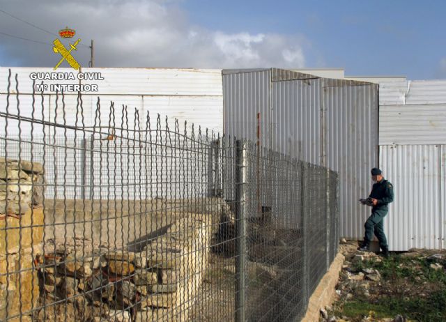La Guardia Civil imputa al propietario de una empresa por la realización de obras junto a un yacimiento arqueológico romano - 3, Foto 3