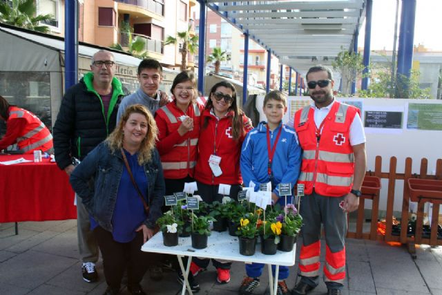La comunidad educativa del Centro Público de Educación Especial Eusebio Martínez ha realizado diversas actividades - 2, Foto 2