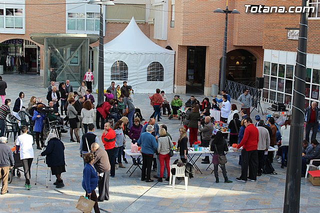 Todos los usuarios de los Centros de Da celebran el Da de la Discapacidad - 28