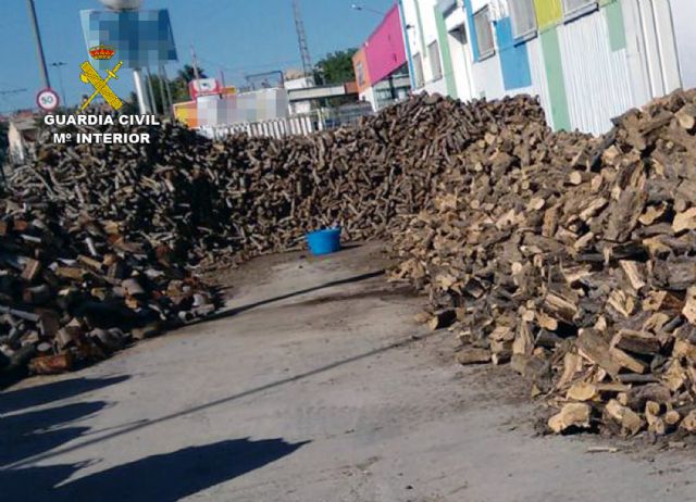 La Guardia Civil esclarece la tala ilegal de 260 olivos centenarios en Cieza - 1, Foto 1
