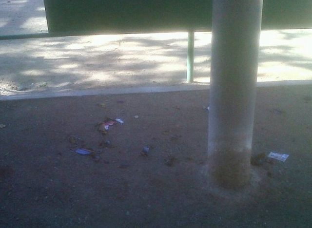 SPCT denuncia el segundo altercado en cinco días en la Urbanización Mediterráneo - 2, Foto 2