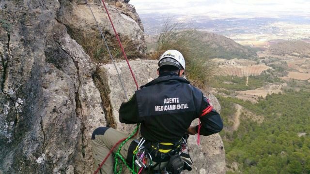 Medio Ambiente desmantela una vía ferrata en una zona sensible para las aves rapaces ubicada en la Sierra del Oro, en Cieza - 1, Foto 1