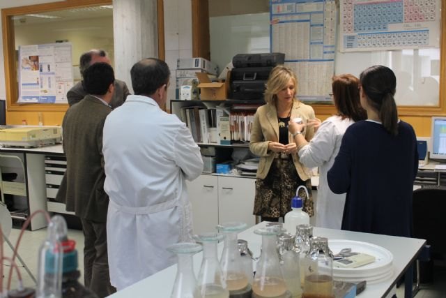 La directora general de Investigación califica al Centro Tecnológico de la Conserva como un ejemplo eficaz de transferencia del conocimiento - 2, Foto 2