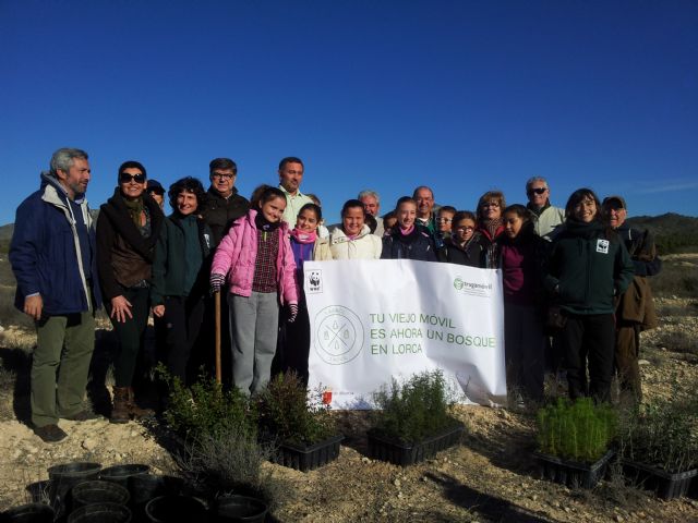 Da comienzo el plan de reforestación integrado en la campaña 1 árbol x 1 móvil - 2, Foto 2