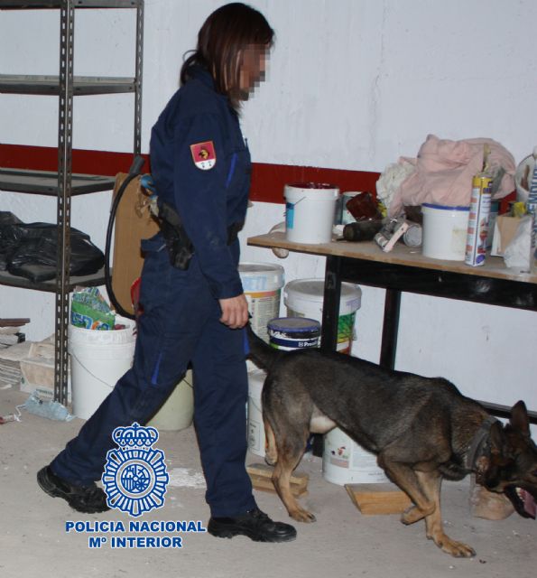 La Policía Nacional detiene a seis personas por delitos relativos a la prostitución y tráfico de drogas en un club de alterne de Cartagena - 2, Foto 2