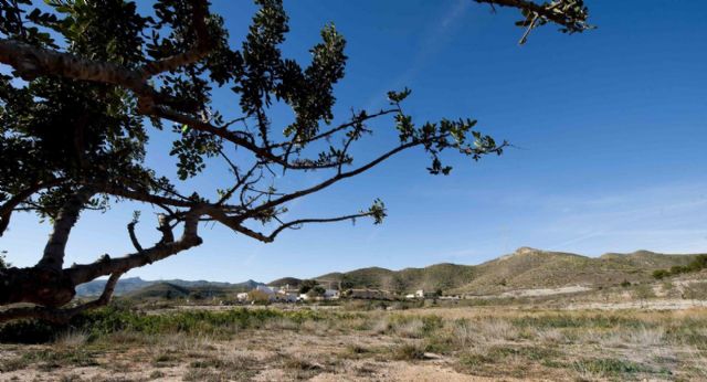 Seis escuelas de hostelería compiten por la mejor repostería con harina de algarroba - 1, Foto 1