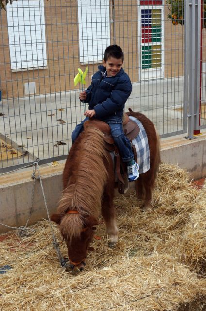 La lluvia no pudo con la jornada navideña de los artesanos torreños - 4, Foto 4