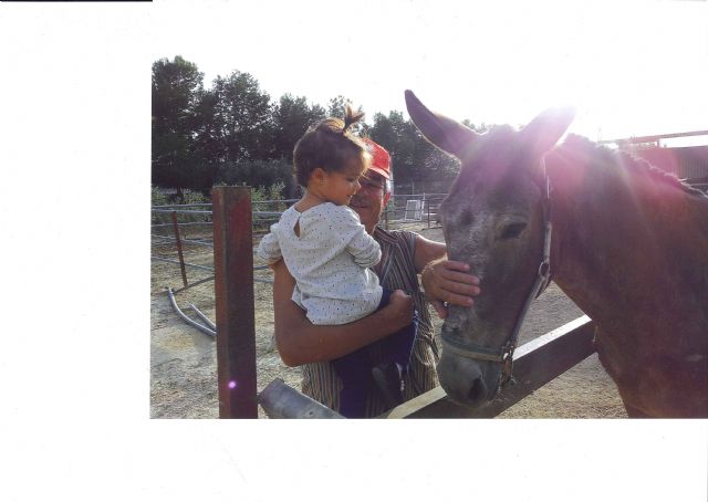 Entregados los premios de la tercera edición del concurso fotográfico “Orgullo de Abuelo” - 5, Foto 5