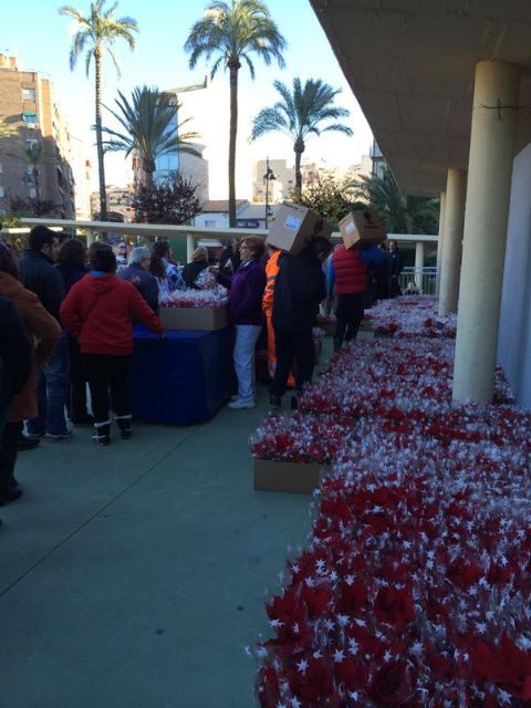 El Ayuntamiento de Molina de Segura y la empresa de servicios Sercomosa reparten unas 3.000 macetas con flores de Pascua - 1, Foto 1