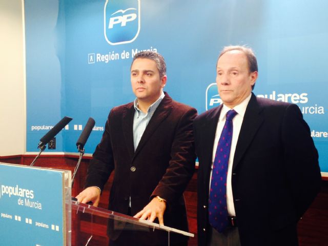 El Partido Popular propone reducir a 6 meses la tramitación del expediente medioambiental - 1, Foto 1