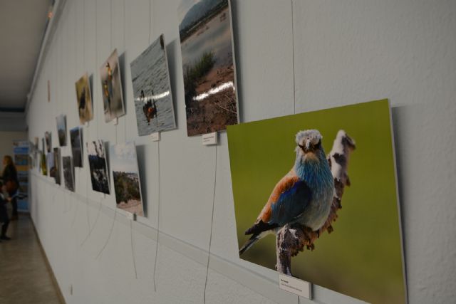 Concluyen las actividades del programa sobre la malvasa cabeciblanca, Foto 3