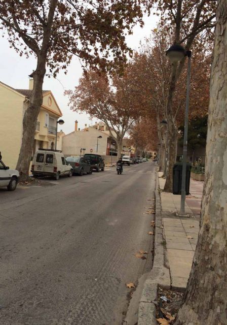 Reformarán la avenida Miguel Espinosa para evitar los problemas de aguas pluviales y acerados - 1, Foto 1