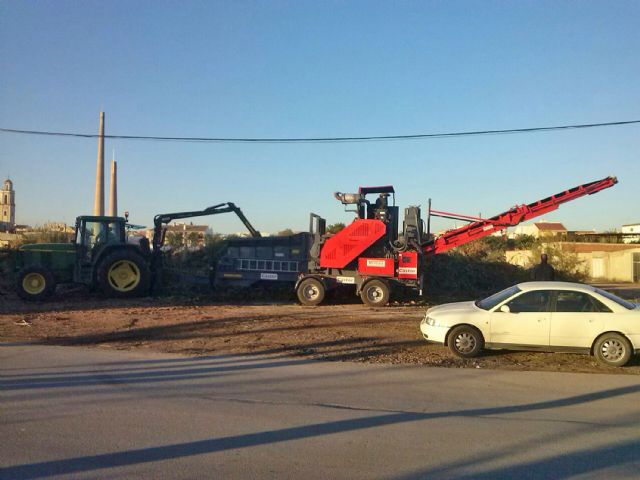El Ayuntamiento de Ceutí gestiona los residuos de las podas para generar biomasa y compost - 1, Foto 1