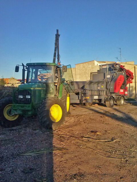 El Ayuntamiento de Ceutí gestiona los residuos de las podas para generar biomasa y compost - 2, Foto 2