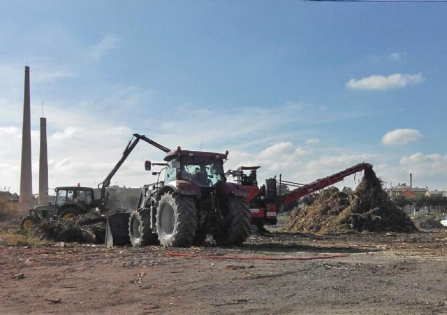 El Ayuntamiento de Ceutí gestiona los residuos de las podas para generar biomasa y compost - 3, Foto 3