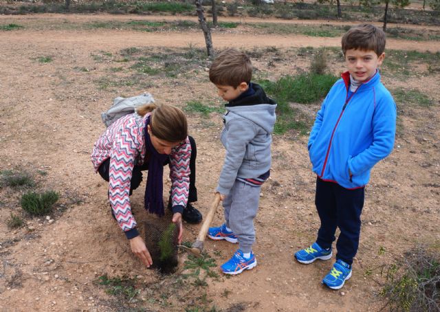 La solidaridad torreña planta 1.000 árboles en el municipio - 2, Foto 2