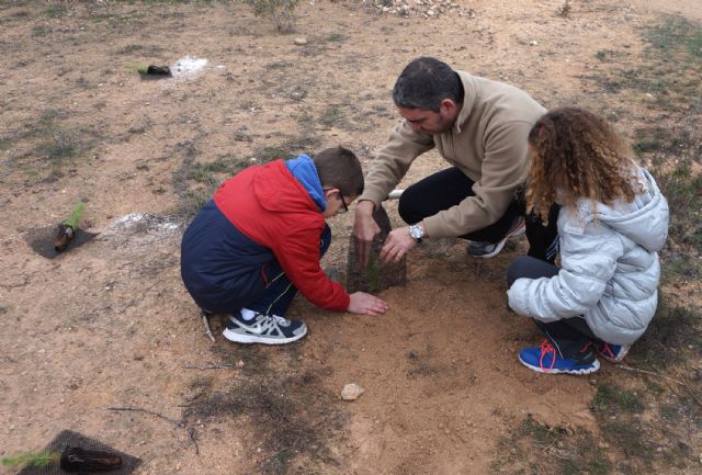 La solidaridad torreña planta 1.000 árboles en el municipio - 5, Foto 5