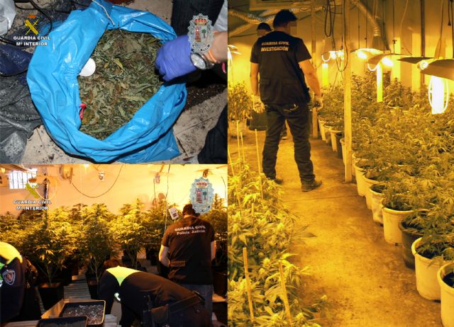 Un centenar de arrestados por cultivo y tráfico de cannabis - 1, Foto 1
