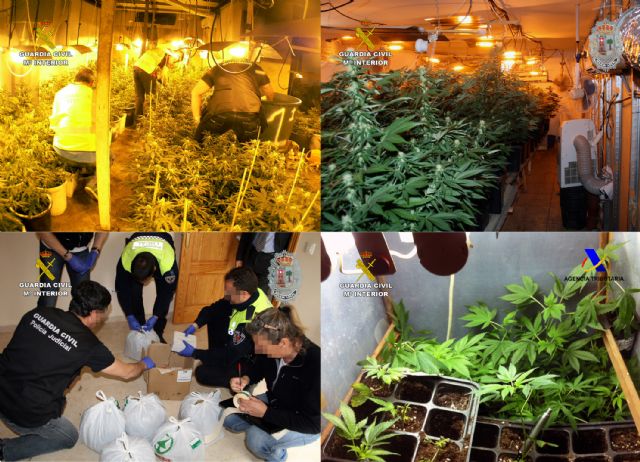 Un centenar de arrestados por cultivo y tráfico de cannabis - 2, Foto 2