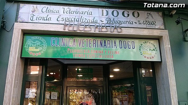 Se presenta la obra mural “Miko” en Clnica Veterinaria Dogo - 2