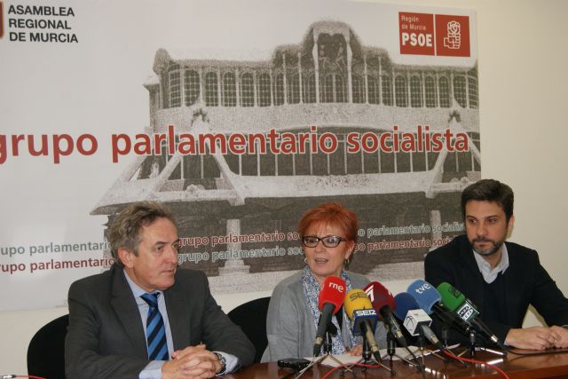 El PSOE resume 2014 como el año que cambió el presidente para no cambiar nada y reprocha la falta de diálogo y el bloqueo de las iniciativas parlamentarias más relevantes - 1, Foto 1