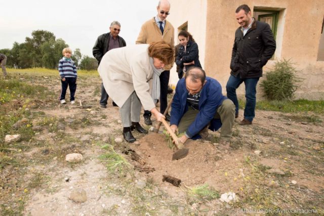 El garbancillo de Tallante avanza en su recuperación poblacional - 2, Foto 2
