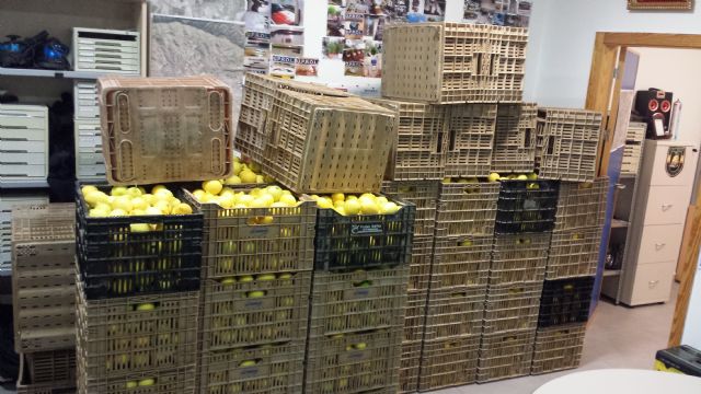 La Policía Local recupera una tonelada de limones - 2, Foto 2