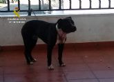 La Guardia Civil detiene a los propietarios de los perros que causaron lesiones graves a cuatro personas