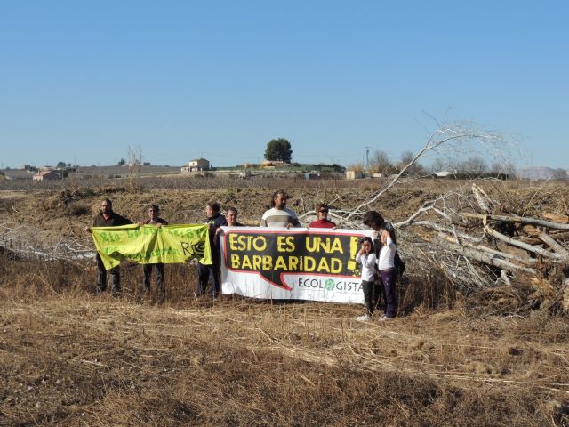 Denuncian la destrucción de una alameda en la Gurulla - 2, Foto 2