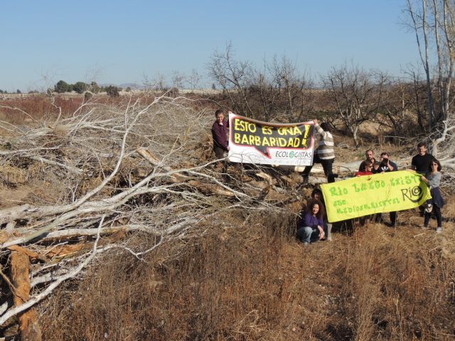 Denuncian la destrucción de una alameda en la Gurulla - 4, Foto 4
