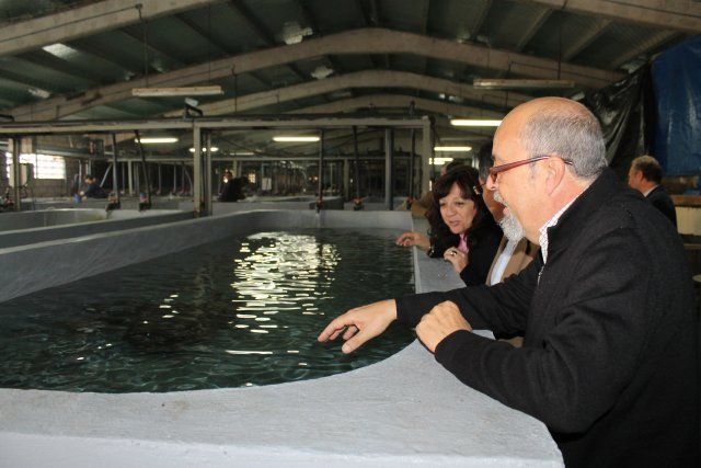 El Ayuntamiento y el Instituto Español de Oceanografía refuerzan sus lazos de colaboración - 5, Foto 5