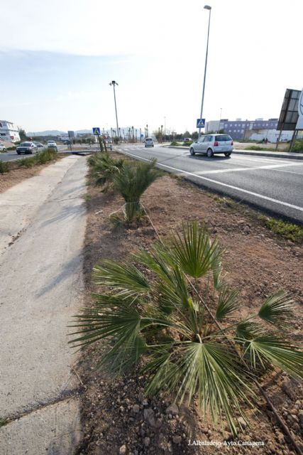 El novedoso sistema de riego en Víctor Beltrí ahorrará hasta un 30 por ciento de agua - 2, Foto 2