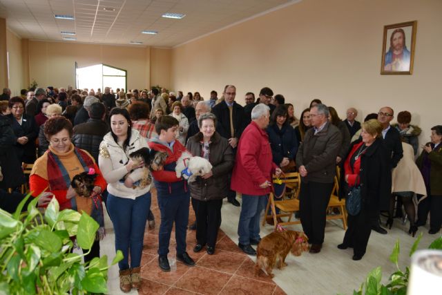 Cientos de aguileños acompañan a San Antón Abad en las fiestas de Tébar - 1, Foto 1