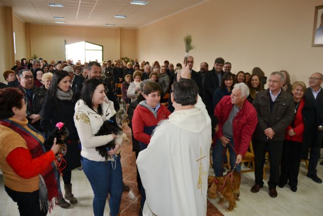 Cientos de aguileños acompañan a San Antón Abad en las fiestas de Tébar - 2, Foto 2