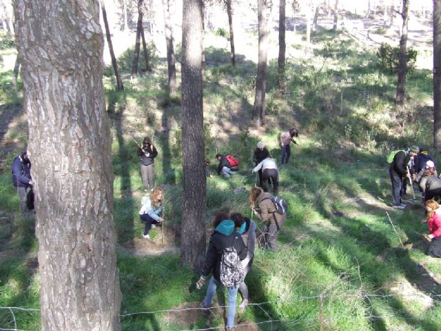 SABIC planta un centenar de árboles en una iniciativa de voluntariado medioambiental - 1, Foto 1