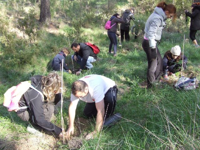 SABIC planta un centenar de árboles en una iniciativa de voluntariado medioambiental - 2, Foto 2